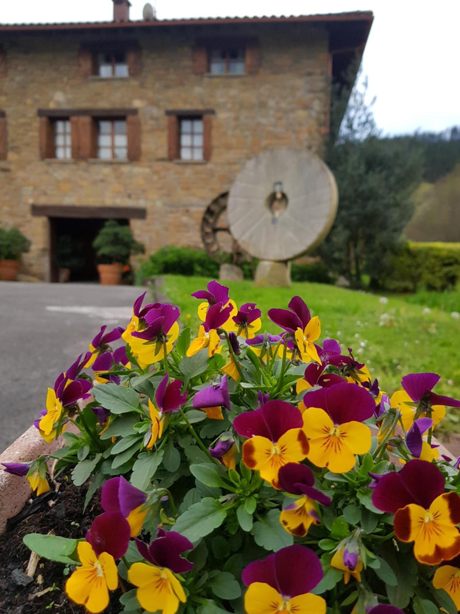 Agroturismo Iberreko Errota Múgica Exterior foto